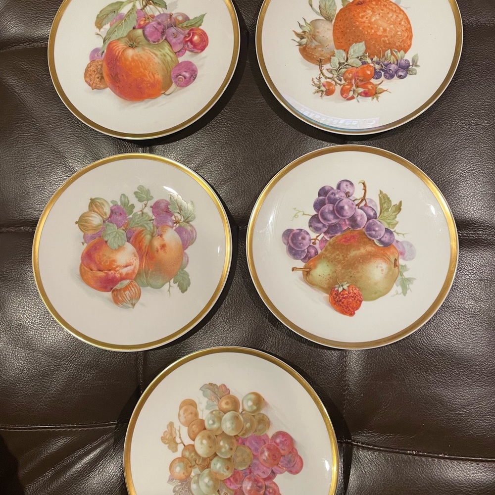 Bavaria Germany Golden Crown “Orchard”Series porcelain plates & cup/saucer set.